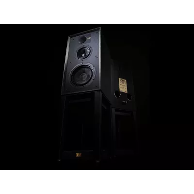 Wharfedale LINTON Stands in Geneva | Digistore.ch