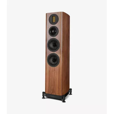 Wharfedale EVO 5.3 in Geneva | Digistore.ch
