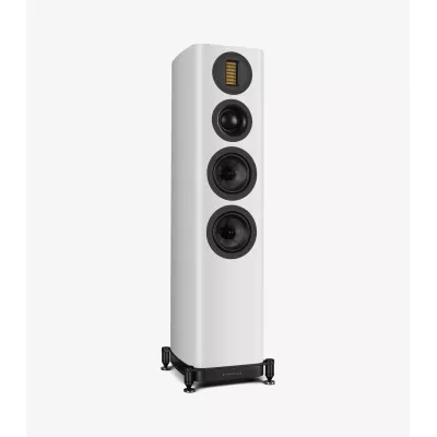 Wharfedale EVO 5.3 in Geneva | Digistore.ch