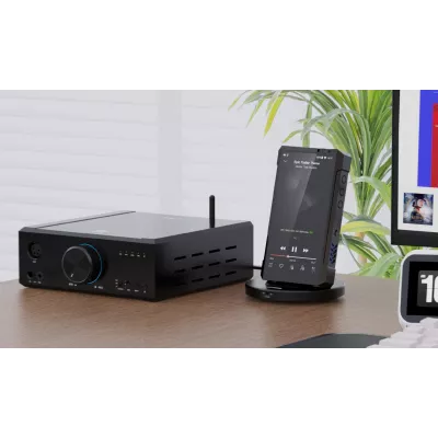 FiiO DK1 Pro a Ginevra | Digistore.ch