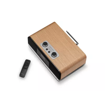 Roberts BluTune 300L à Genève | Digistore.ch