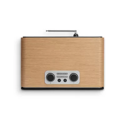 Roberts BluTune 300L à Genève | Digistore.ch