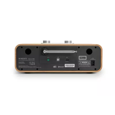 Roberts BluTune 300L à Genève | Digistore.ch