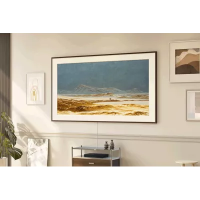 Samsung The Frame Pro 55" a Ginevra | Digistore.ch