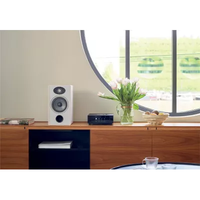 Naim Uniti Atom in Geneva | Digistore.ch