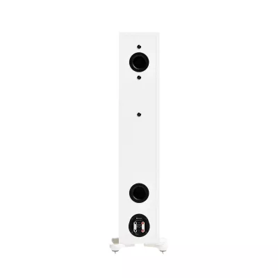 Monitor Audio Bronze 300 7G a Ginevra | Digistore.ch