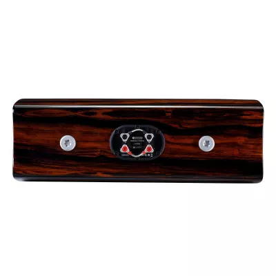 Monitor Audio Platinum C250 3G in Geneva | Digistore.ch