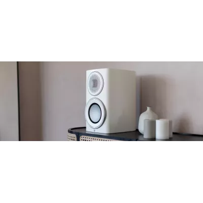 Monitor Audio Platinum 100 3G a Ginevra | Digistore.ch