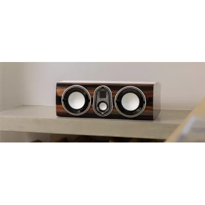 Monitor Audio Platinum C250 3G in Geneva | Digistore.ch