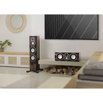 Monitor Audio Platinum C250 3G in Geneva | Digistore.ch