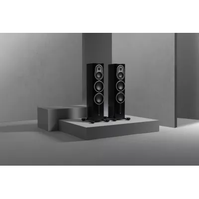 Monitor Audio Platinum 200 3G in Geneva | Digistore.ch