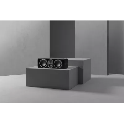 Monitor Audio Platinum C250 3G a Ginevra | Digistore.ch