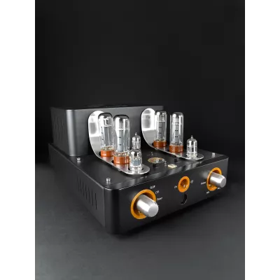 Unison Research Triode 25 a Ginevra | Digistore.ch