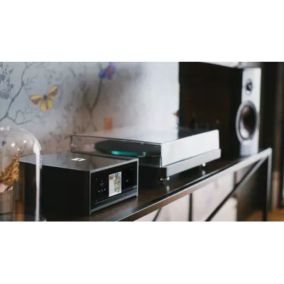NAD M10 V3 in Genf | Digistore.ch