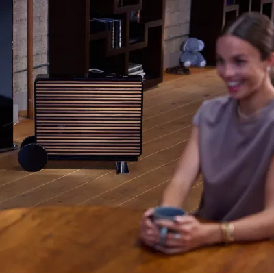 REL Premium Wood Grille Planar PL-2 in Geneva | Digistore.ch