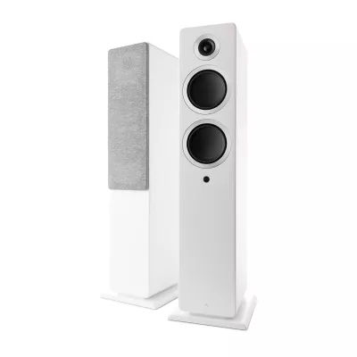 Argon Audio FORTE A55 WIFI a Ginevra | Digistore.ch