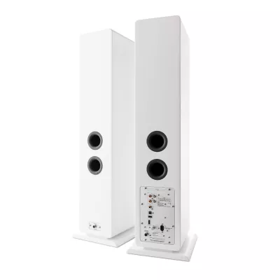 Argon Audio FORTE A55 WIFI a Ginevra | Digistore.ch