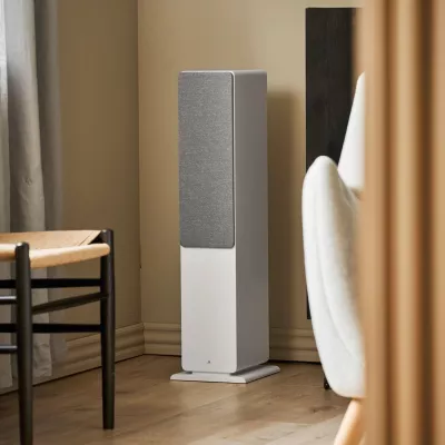 Argon Audio FORTE A55 WIFI a Ginevra | Digistore.ch