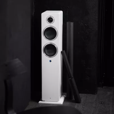 Argon Audio FORTE A55 WIFI a Ginevra | Digistore.ch