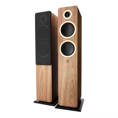 Argon Audio FORTE A55 WIFI à Genève | Digistore.ch