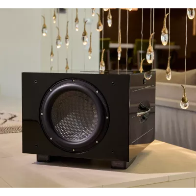 REL Carbon Special à Genève | Digistore.ch