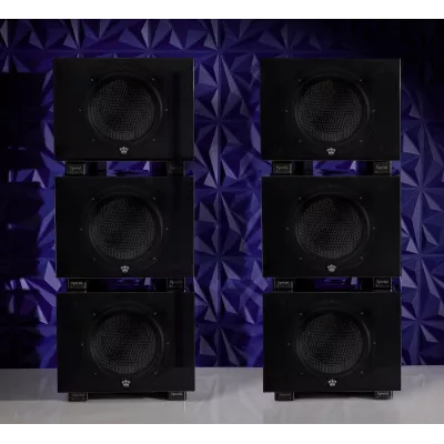 REL Carbon Special à Genève | Digistore.ch