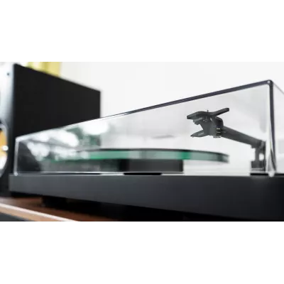 NAD C 558 in Genf | Digistore.ch