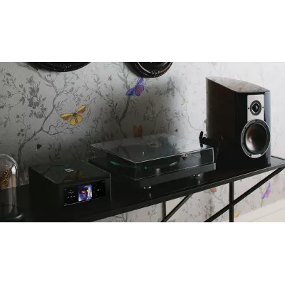 NAD C 588 in Geneva | Digistore.ch