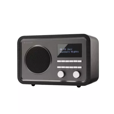 Argon Audio ESSENTIALS RADIO1 a Ginevra | Digistore.ch