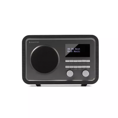 Argon Audio ESSENTIALS RADIO1 a Ginevra | Digistore.ch