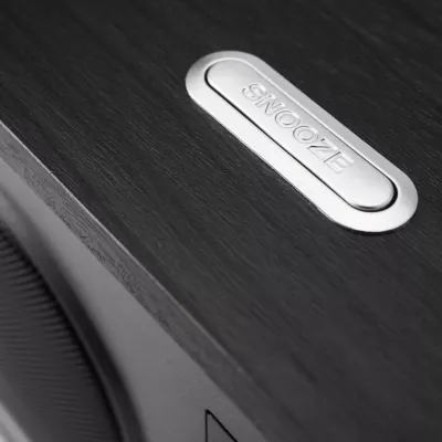 Argon Audio ESSENTIALS RADIO1 a Ginevra | Digistore.ch