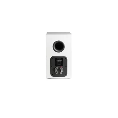 Paradigm Premier 120B v2 in Geneva | Digistore.ch