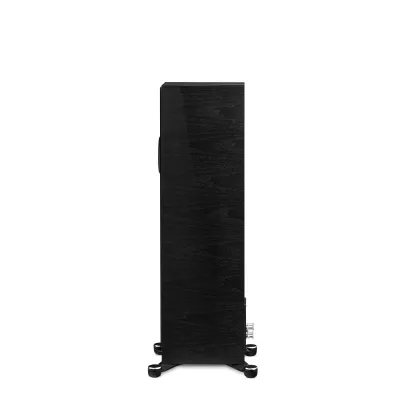 Paradigm Founder 80F à Genève | Digistore.ch