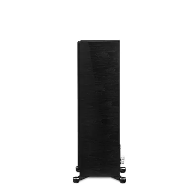 Paradigm Founder 80F à Genève | Digistore.ch