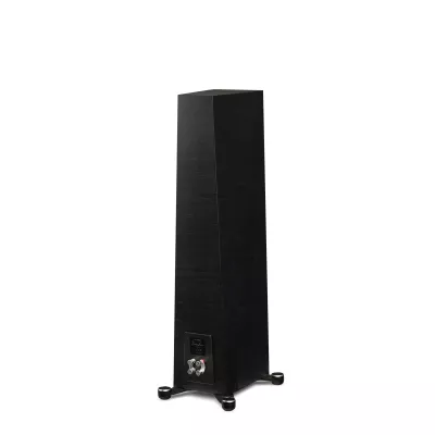 Paradigm Founder 80F à Genève | Digistore.ch