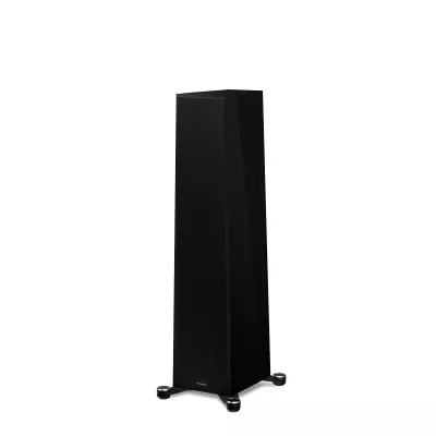 Paradigm Founder 80F à Genève | Digistore.ch