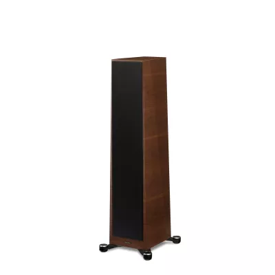 Paradigm Founder 80F à Genève | Digistore.ch