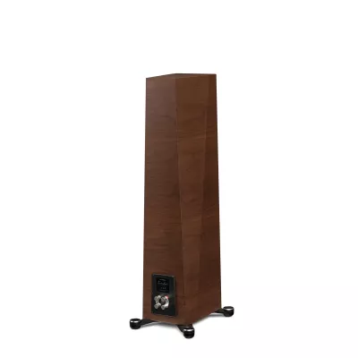 Paradigm Founder 80F à Genève | Digistore.ch