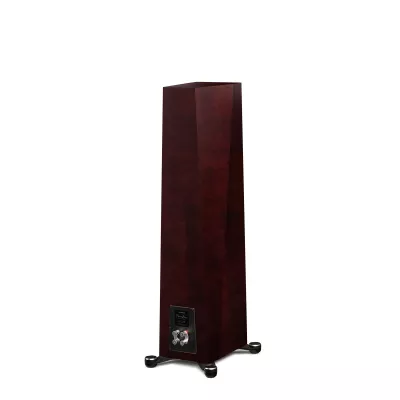 Paradigm Founder 80F à Genève | Digistore.ch