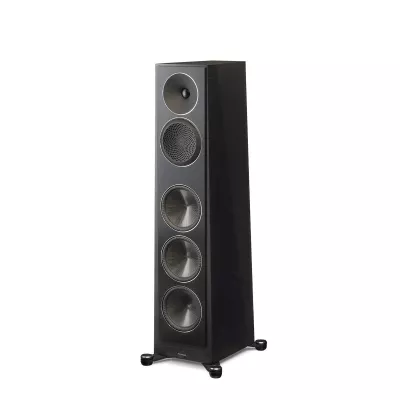 Paradigm Founder 100F à Genève | Digistore.ch
