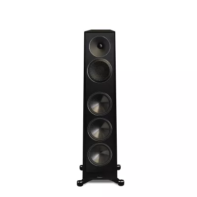Paradigm Founder 100F a Ginevra | Digistore.ch