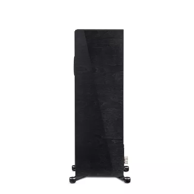 Paradigm Founder 100F a Ginevra | Digistore.ch