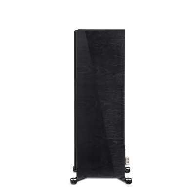 Paradigm Founder 100F a Ginevra | Digistore.ch
