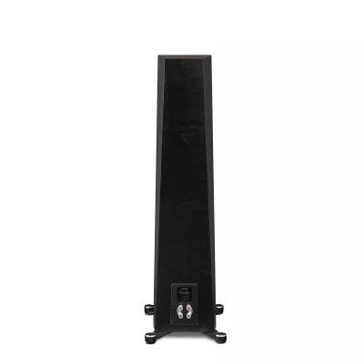 Paradigm Founder 100F a Ginevra | Digistore.ch