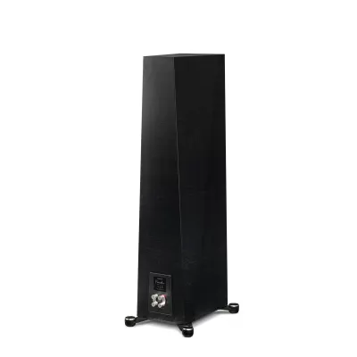 Paradigm Founder 100F a Ginevra | Digistore.ch