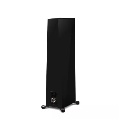 Paradigm Founder 100F à Genève | Digistore.ch