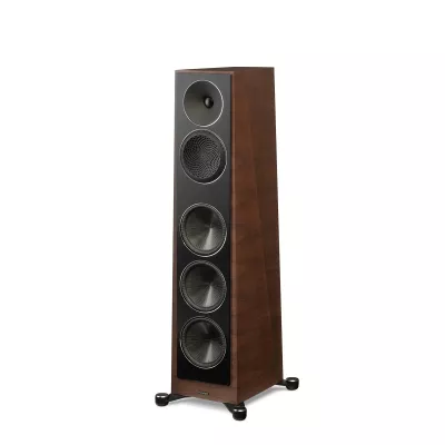 Paradigm Founder 100F à Genève | Digistore.ch