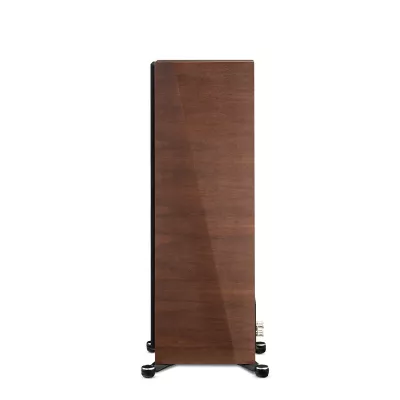 Paradigm Founder 100F à Genève | Digistore.ch