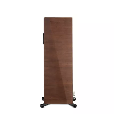 Paradigm Founder 100F à Genève | Digistore.ch