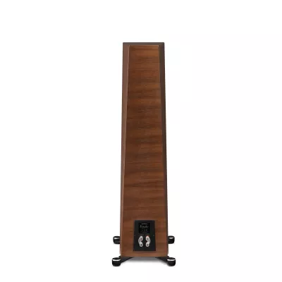 Paradigm Founder 100F à Genève | Digistore.ch